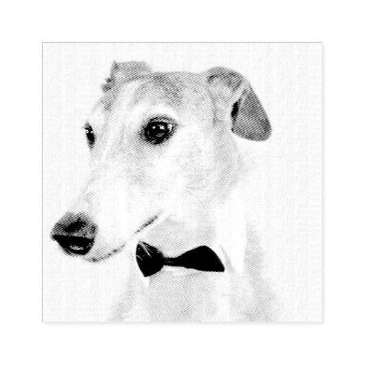 Whippet Gummistempel (Prägung)