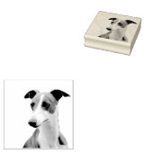 Whippet Gummistempel (Stempel)