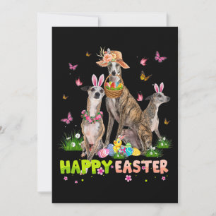 Whippet Happy Oster Bunny Egg Ostern Geschenk Kind Feiertagskarte