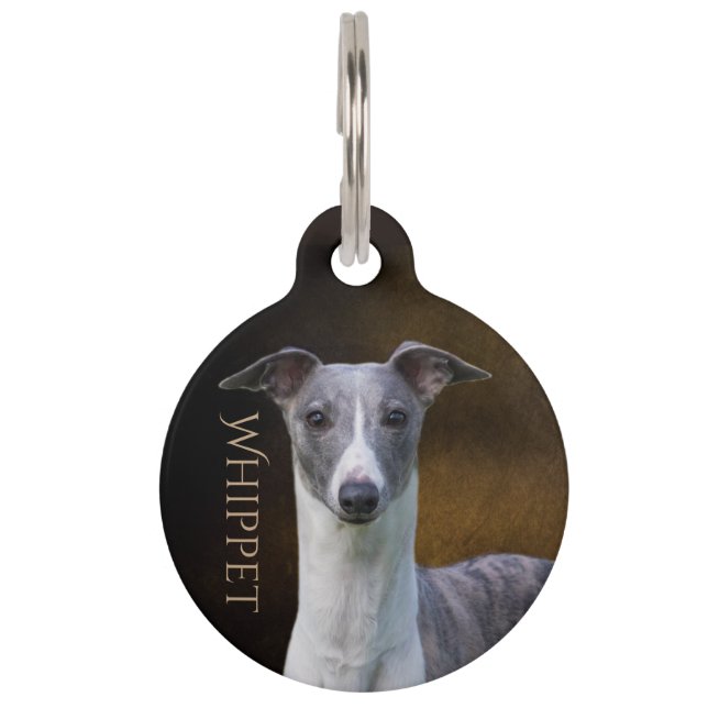 Whippet Haustiermarke (Vorderseite)