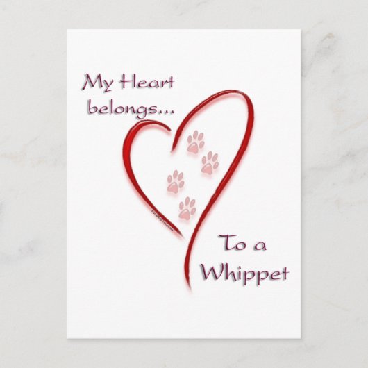 Whippet Heart Belongs Postkarte (Vorderseite)