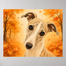Whippet Herbstwald Hund
