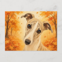 Whippet Herbstwald Hund