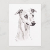 Whippet Hund Art Postkarte (Vorderseite)