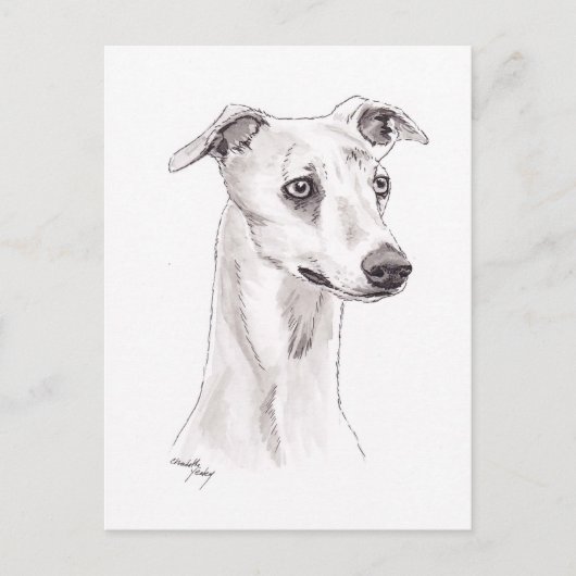Whippet Hund Art Postkarte (Vorderseite)