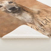 Whippet-Hund-Name Sherpadecke (3/4)