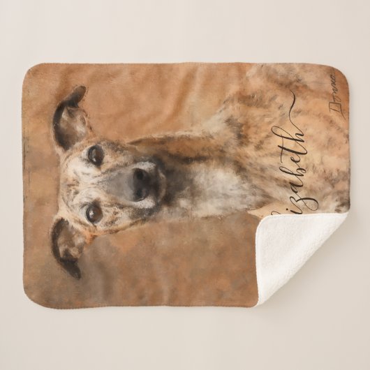 Whippet-Hund-Name Sherpadecke (Vorderseite (Horizontal))