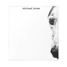 Whippet-Hund
