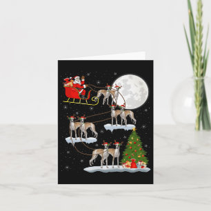 Whippet Hund Santa Schlitten Fliegend Lustiger Mag Karte