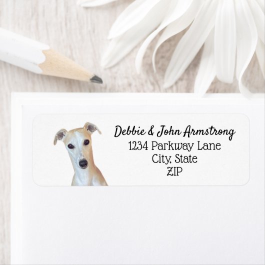 Whippet Hund Welpenzucht Rücksendeadresse (Insitu)