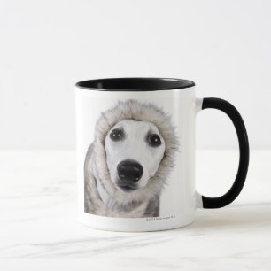 Whippet Hundetragender Pelzmantel, Studioschuß Tasse