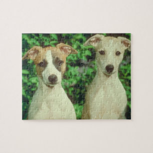 Whippet Hundezinn und -puzzlespiel Puzzle
