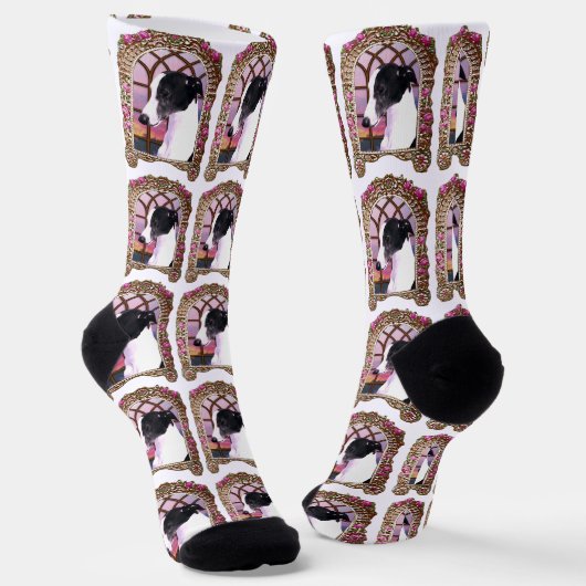Whippet im Rahmen Socken (Gewinkelt)