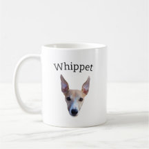 Whippet