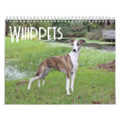 Whippet-Kalender Kalender (Titelbild)