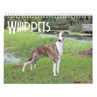 Whippet-Kalender Kalender