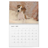 Whippet-Kalender Kalender (Mär 2027)