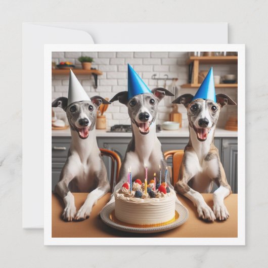 Whippet-Karte, Whippet-Geburtstag, Whippet Einladung (Vorderseite)