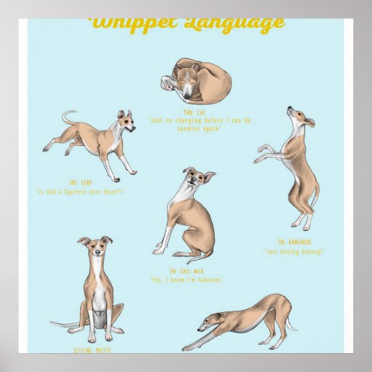 Whippet Language Whippet Canvas Poster (Vorne)