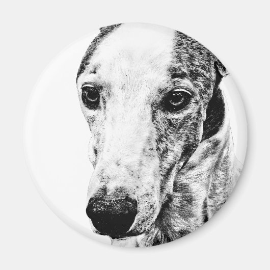 Whippet Magnet (Vorne)