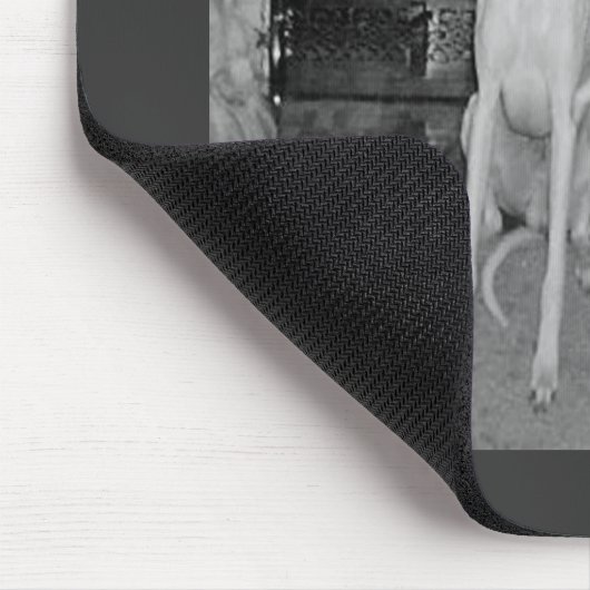 Whippet - MousePad (Ecke)