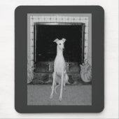 Whippet - MousePad (Vorne)