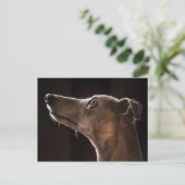 Whippet Postkarte (Stehend Vorderseite)