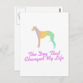 Whippet Postkarte (Vorne/Hinten)