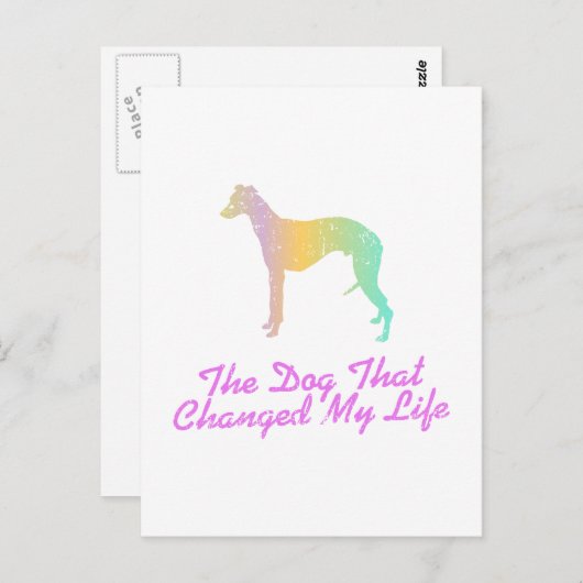 Whippet Postkarte (Vorne/Hinten)