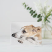 Whippet Postkarte (Stehend Vorderseite)