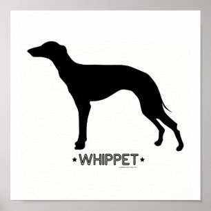 Whippet Print Poster