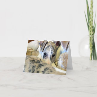 Whippet puppy notecard karte