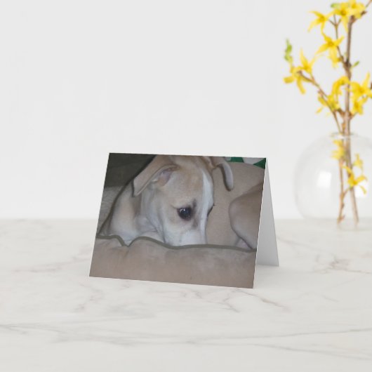 Whippet puppy notecard karte (Gelbe Blume)