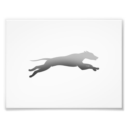Whippet Running Silhouette Fotodruck (Vorne)
