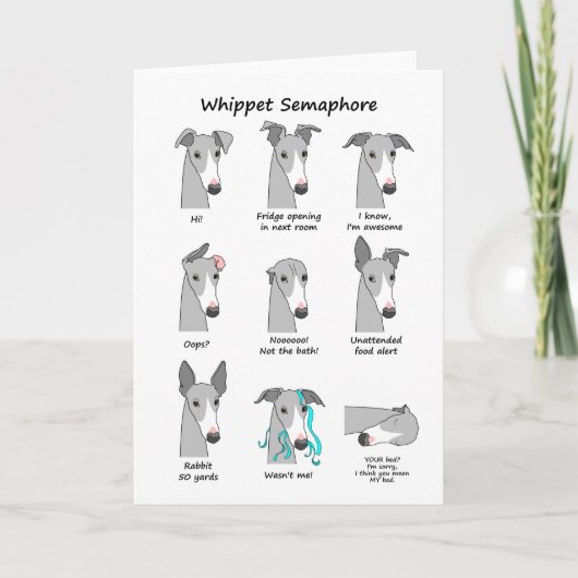 Whippet Semaphore Karte (Vorderseite)