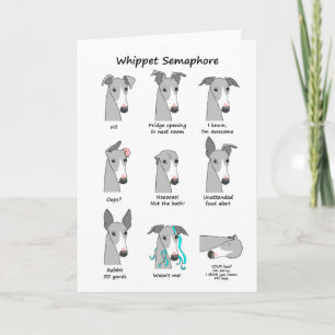 Whippet Semaphore Karte