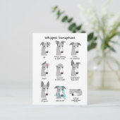 Whippet Semaphore Postkarte (Stehend Vorderseite)