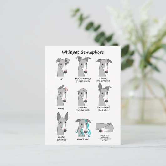 Whippet Semaphore Postkarte (Stehend Vorderseite)
