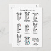 Whippet Semaphore Postkarte (Vorne/Hinten)