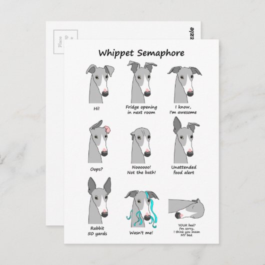 Whippet Semaphore Postkarte (Vorne/Hinten)
