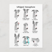 Whippet Semaphore Postkarte (Vorderseite)