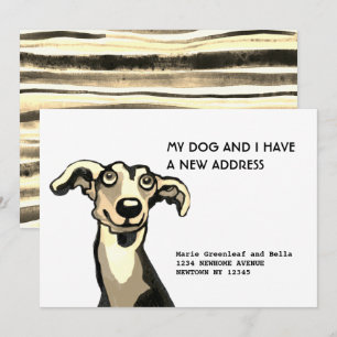 Whippet und ich sind umgezogen, Flat-Ankündigungsk Ankündigung