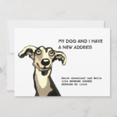 Whippet und ich sind umgezogen, Flat Announction C Ankündigung (Vorderseite)