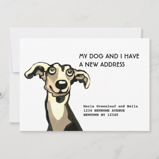 Whippet und ich sind umgezogen, Flat Announction C Ankündigung (Vorderseite)