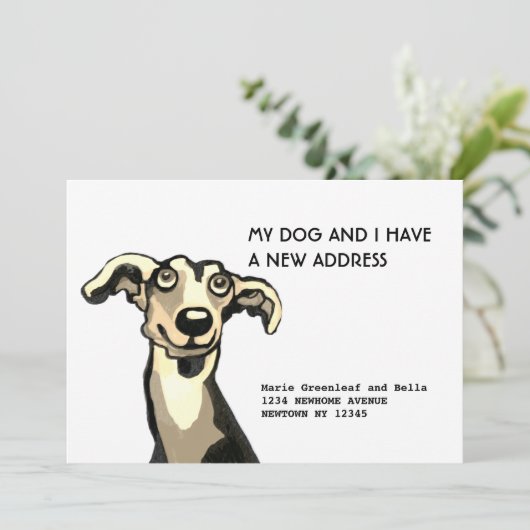 Whippet und ich sind umgezogen, Flat Announction C Ankündigung (Stehend Vorderseite)