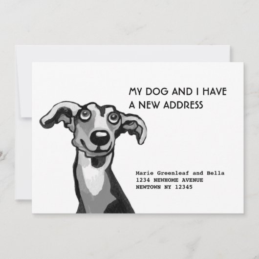 Whippet und ich sind umgezogen, Flat Announction C Ankündigung (Vorderseite)