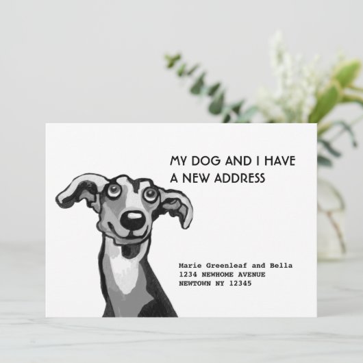 Whippet und ich sind umgezogen, Flat Announction C Ankündigung (Stehend Vorderseite)