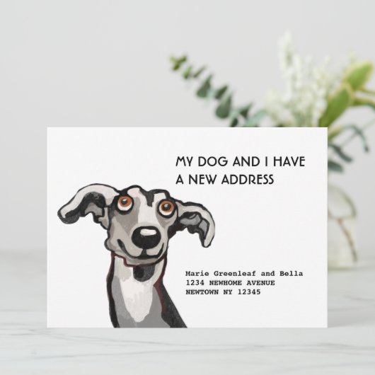 Whippet und ich sind umgezogen, Flat Announction C Ankündigung (Stehend Vorderseite)