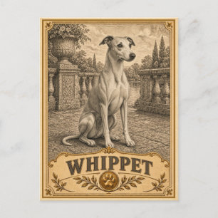 Whippet, Vintage Heritage Hund Postkarte