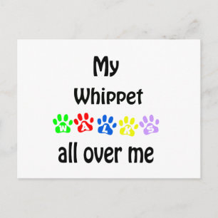 Whippet Walks Design Postkarte